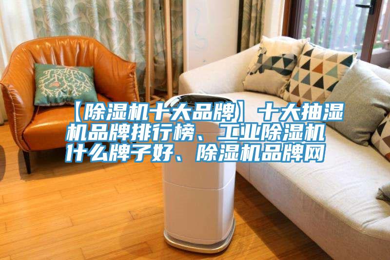 【除濕機(jī)十大品牌】十大抽濕機(jī)品牌排行榜、工業(yè)除濕機(jī)什么牌子好、除濕機(jī)品牌網(wǎng)