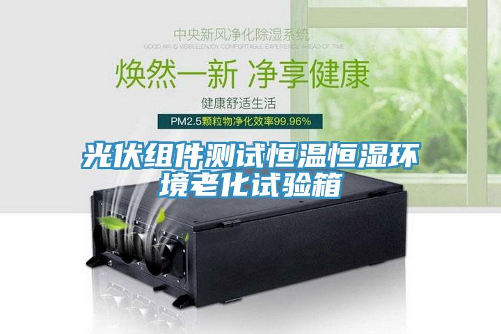 光伏組件測試恒溫恒濕環(huán)境老化試驗(yàn)箱