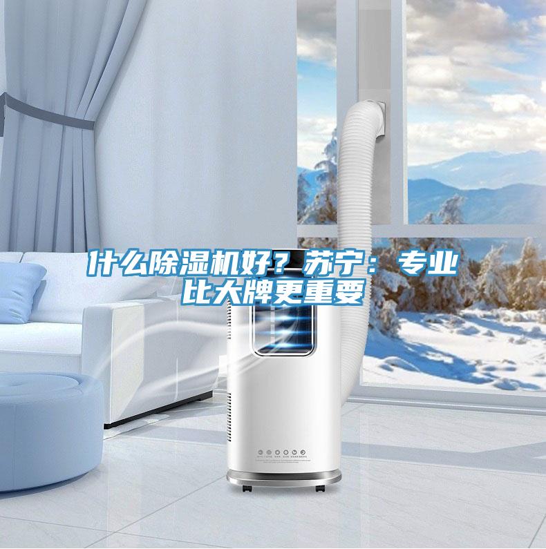 什么除濕機好？蘇寧：專業(yè)比大牌更重要