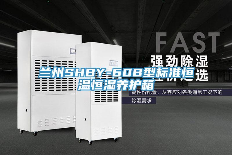 蘭州SHBY-60B型標(biāo)準(zhǔn)恒溫恒濕養(yǎng)護(hù)箱