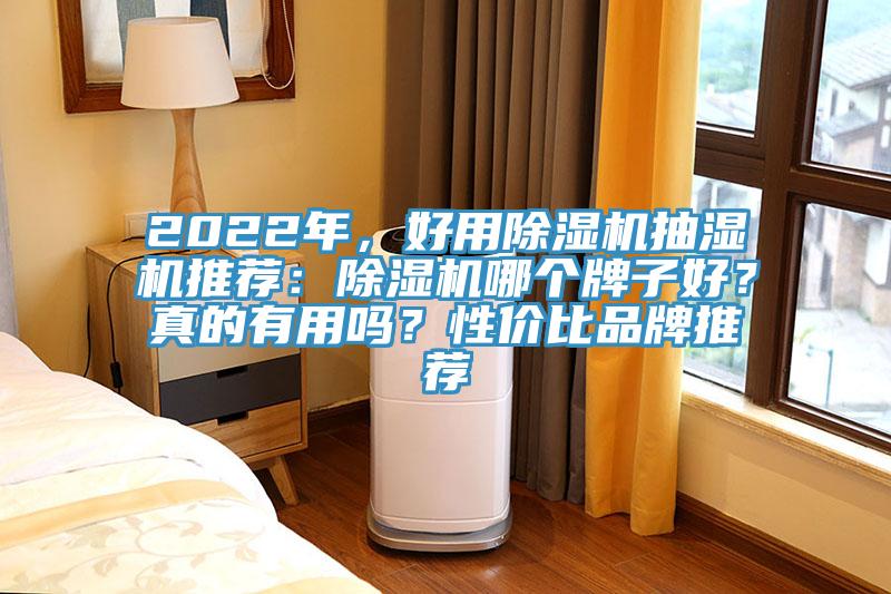2022年，好用除濕機抽濕機推薦：除濕機哪個牌子好？真的有用嗎？性價比品牌推薦