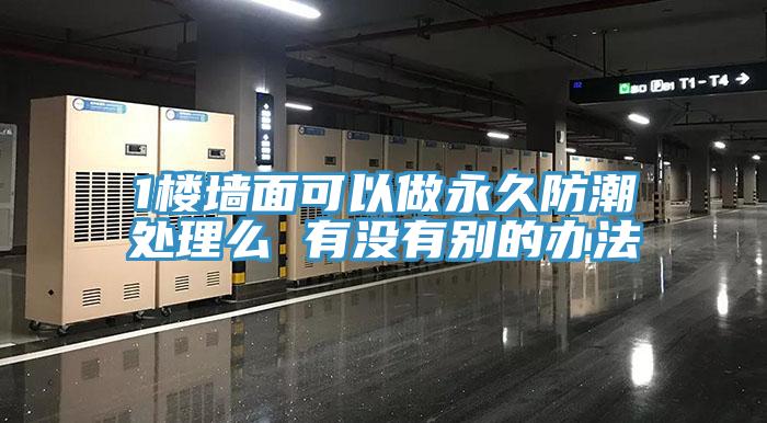 1樓墻面可以做永久防潮處理么 有沒(méi)有別的辦法