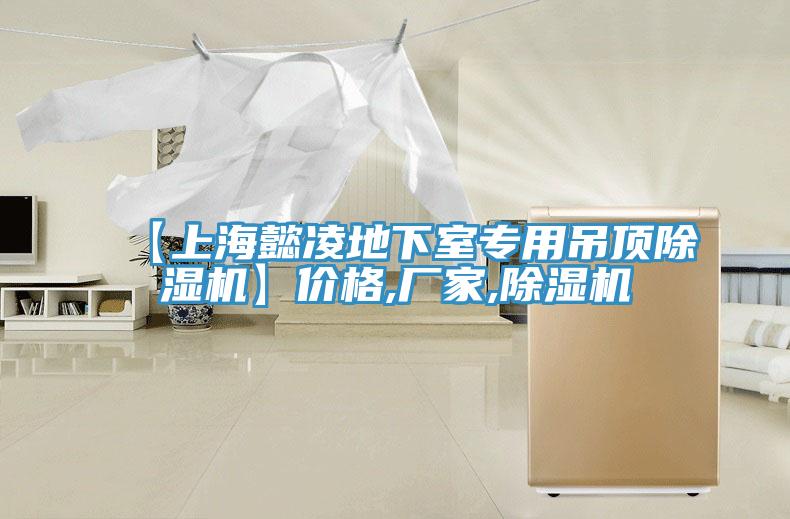 【上海懿凌地下室專用吊頂除濕機(jī)】價格,廠家,除濕機(jī)