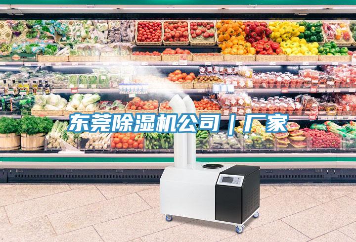 東莞除濕機公司｜廠家