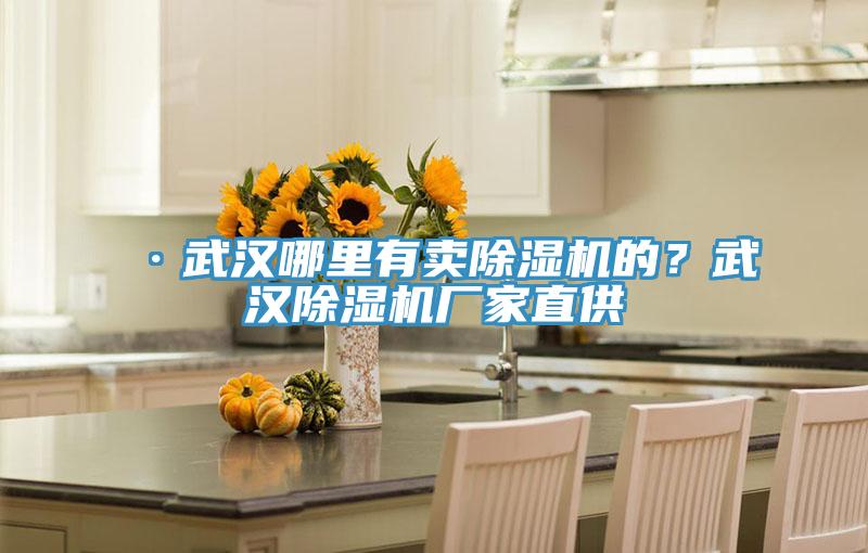 ·武漢哪里有賣除濕機的？武漢除濕機廠家直供