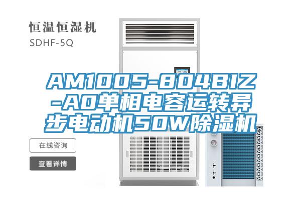 AM1005-804BIZ-A0單相電容運(yùn)轉(zhuǎn)異步電動(dòng)機(jī)50W除濕機(jī)