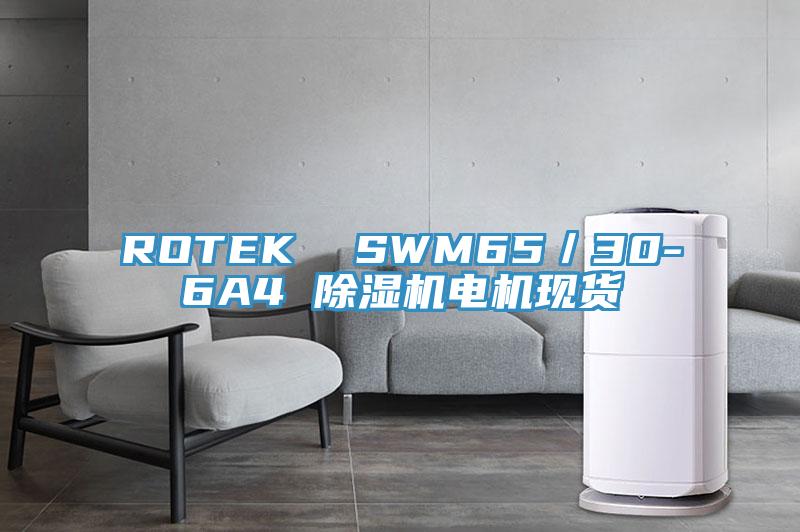 ROTEK  SWM65／30-6A4 除濕機電機現(xiàn)貨