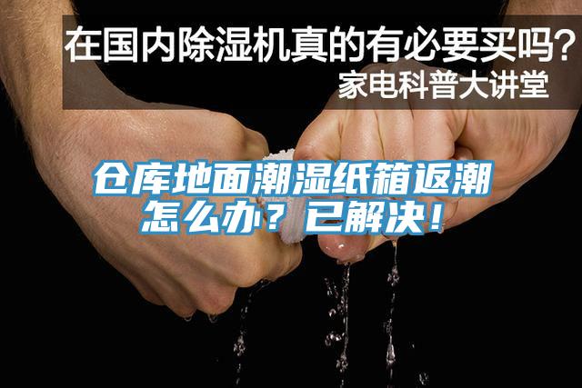 倉庫地面潮濕紙箱返潮怎么辦？已解決！