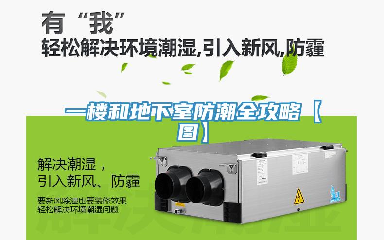 一樓和地下室防潮全攻略【圖】