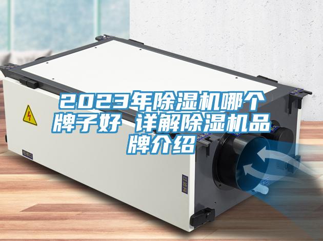 2023年除濕機哪個牌子好 詳解除濕機品牌介紹