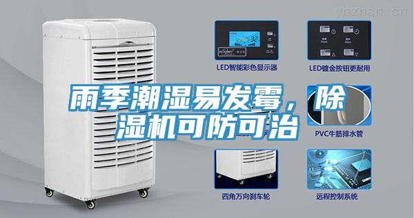 雨季潮濕易發(fā)霉，除濕機(jī)可防可治