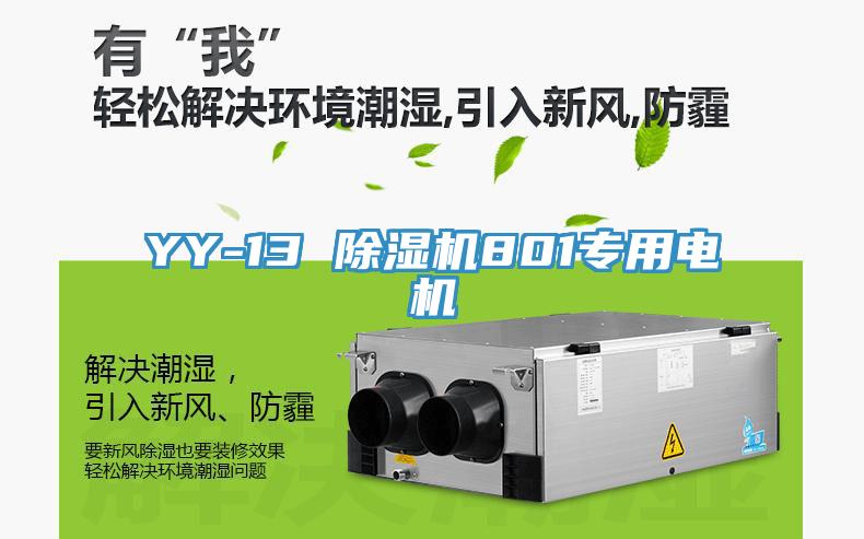 YY-13 除濕機(jī)801專用電機(jī)
