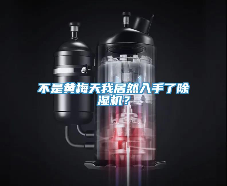 不是黃梅天我居然入手了除濕機(jī)？