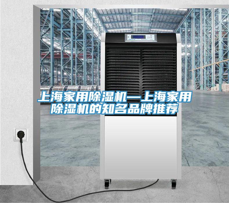上海家用除濕機(jī)—上海家用除濕機(jī)的知名品牌推薦