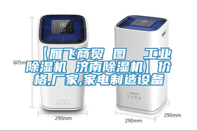 【雁飛商貿(mào) 圖  工業(yè)除濕機(jī) 濟(jì)南除濕機(jī)】?jī)r(jià)格,廠家,家電制造設(shè)備