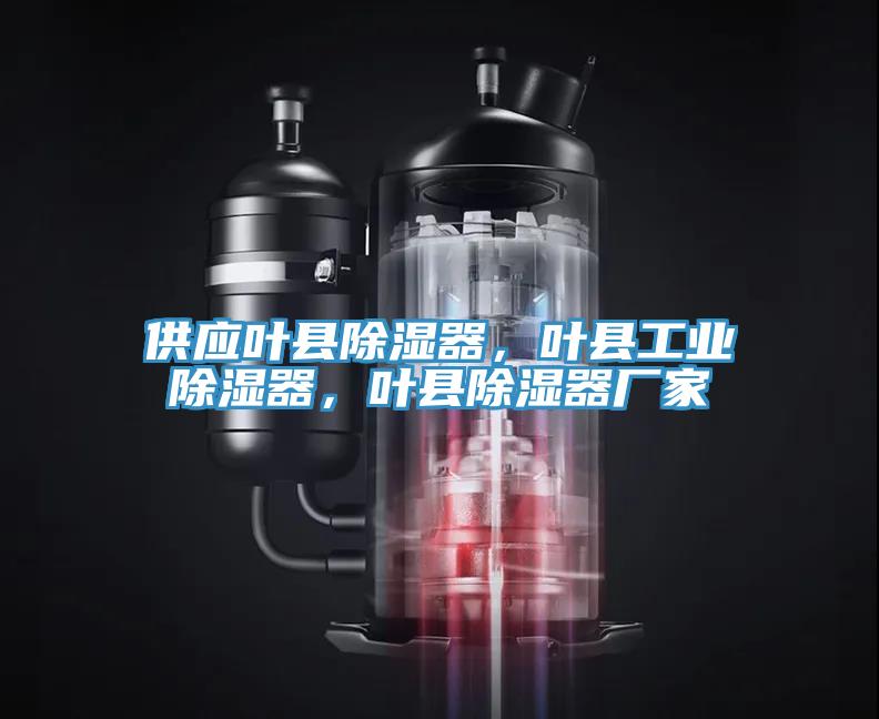 供應(yīng)葉縣除濕器，葉縣工業(yè)除濕器，葉縣除濕器廠家