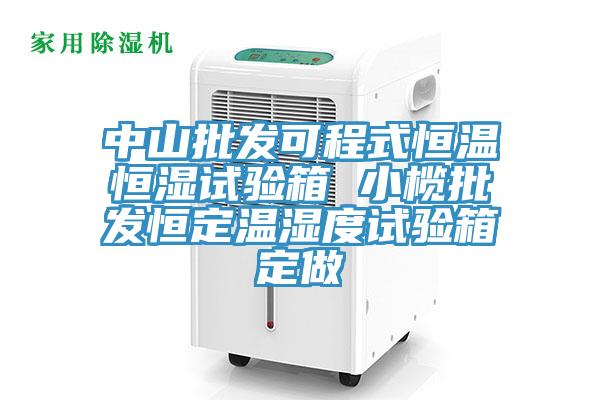 中山批發(fā)可程式恒溫恒濕試驗箱 小欖批發(fā)恒定溫濕度試驗箱定做