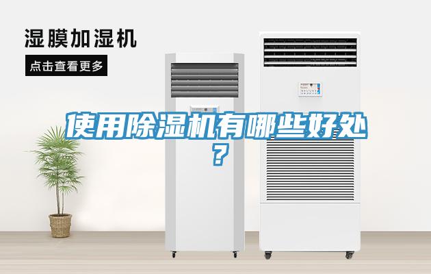 使用除濕機有哪些好處？