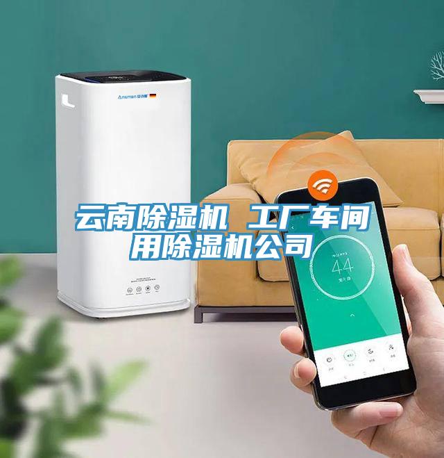 云南除濕機(jī) 工廠車(chē)間用除濕機(jī)公司