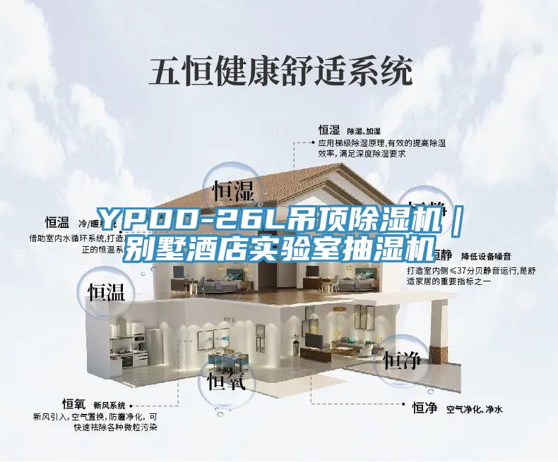 YPDD-26L吊頂除濕機(jī)｜別墅酒店實(shí)驗(yàn)室抽濕機(jī)