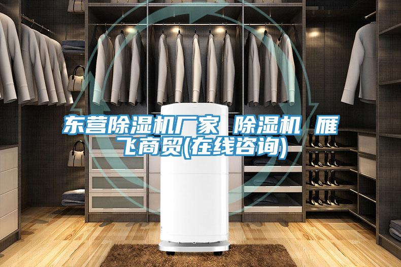 東營除濕機廠家 除濕機 雁飛商貿(mào)(在線咨詢)