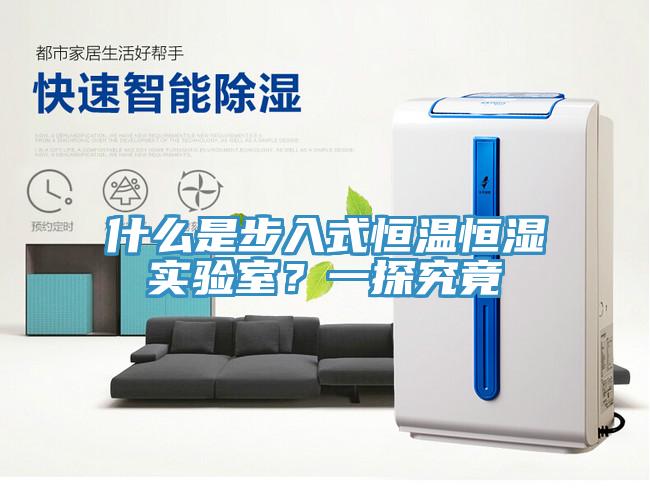 什么是步入式恒溫恒濕實(shí)驗(yàn)室？一探究竟