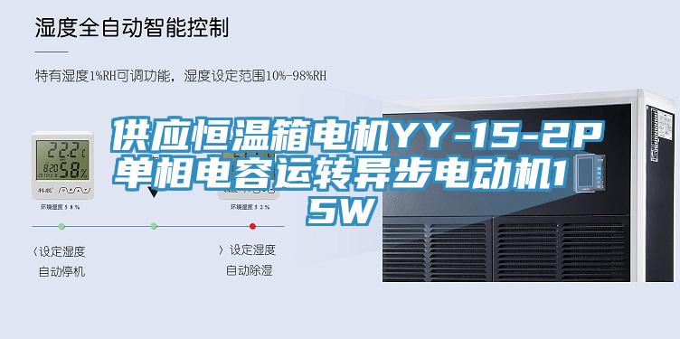 供應(yīng)恒溫箱電機(jī)YY-15-2P單相電容運(yùn)轉(zhuǎn)異步電動(dòng)機(jī)15W