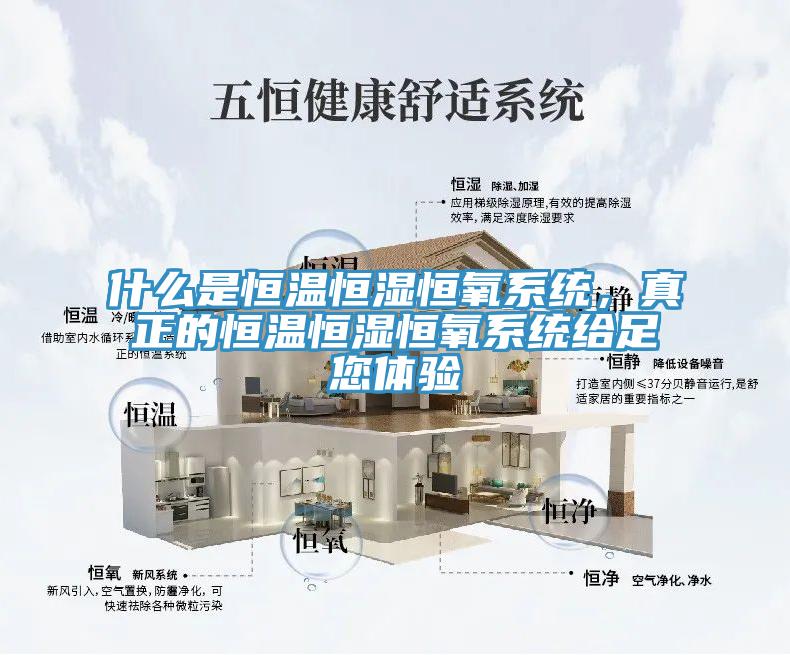什么是恒溫恒濕恒氧系統(tǒng)，真正的恒溫恒濕恒氧系統(tǒng)給足您體驗(yàn)