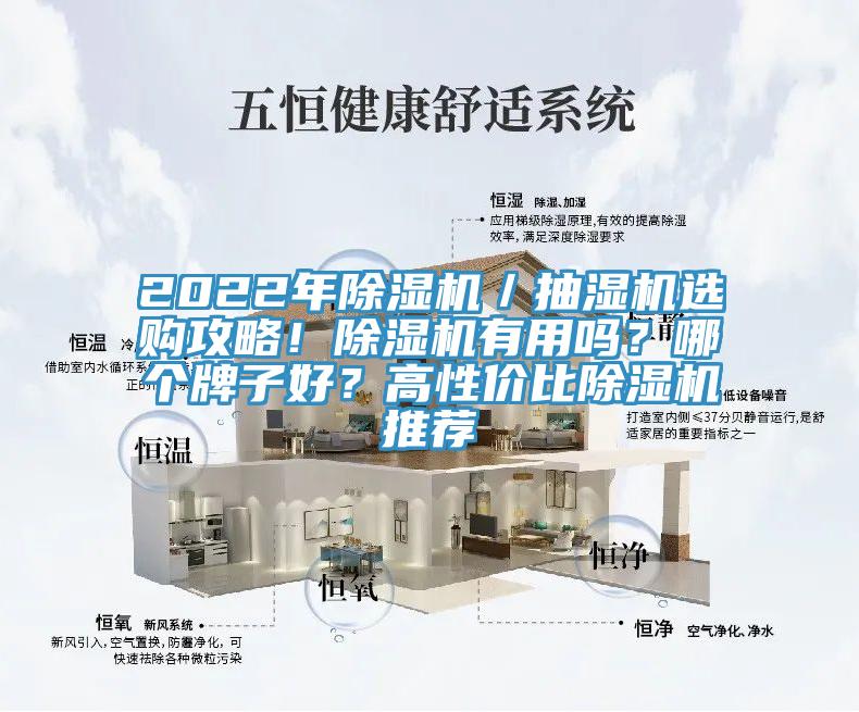 2022年除濕機／抽濕機選購攻略！除濕機有用嗎？哪個牌子好？高性價比除濕機推薦