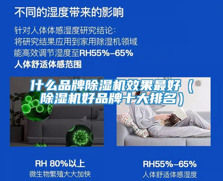 什么品牌除濕機(jī)效果最好（除濕機(jī)好品牌十大排名）