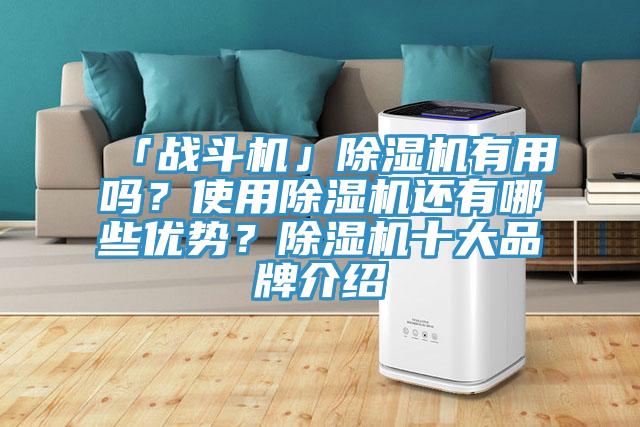 「戰(zhàn)斗機(jī)」除濕機(jī)有用嗎？使用除濕機(jī)還有哪些優(yōu)勢？除濕機(jī)十大品牌介紹