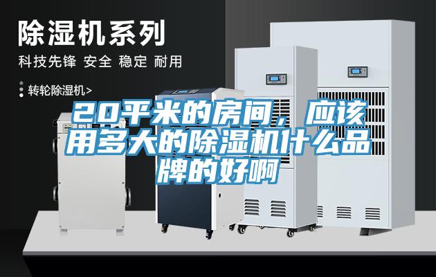 20平米的房間，應(yīng)該用多大的除濕機什么品牌的好啊