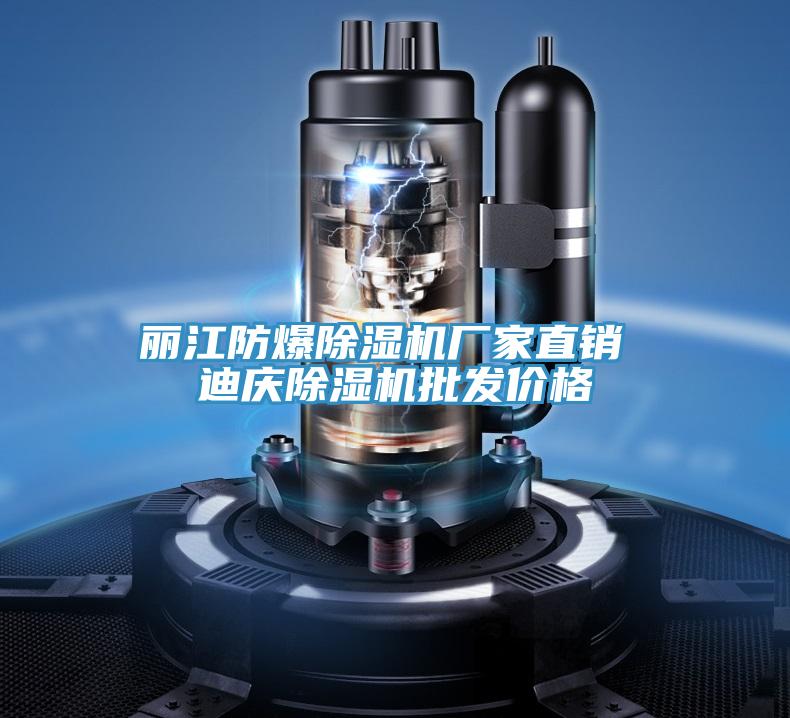 麗江防爆除濕機(jī)廠家直銷(xiāo) 迪慶除濕機(jī)批發(fā)價(jià)格