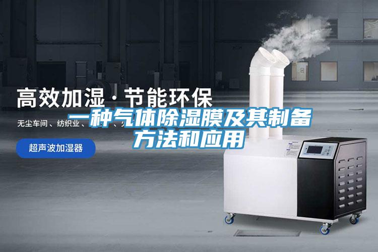 一種氣體除濕膜及其制備方法和應(yīng)用