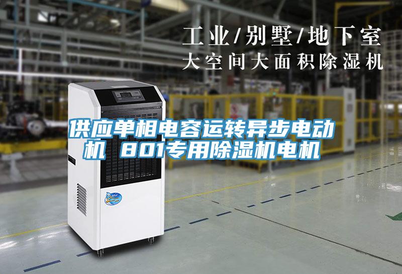 供應(yīng)單相電容運(yùn)轉(zhuǎn)異步電動(dòng)機(jī) 801專用除濕機(jī)電機(jī)