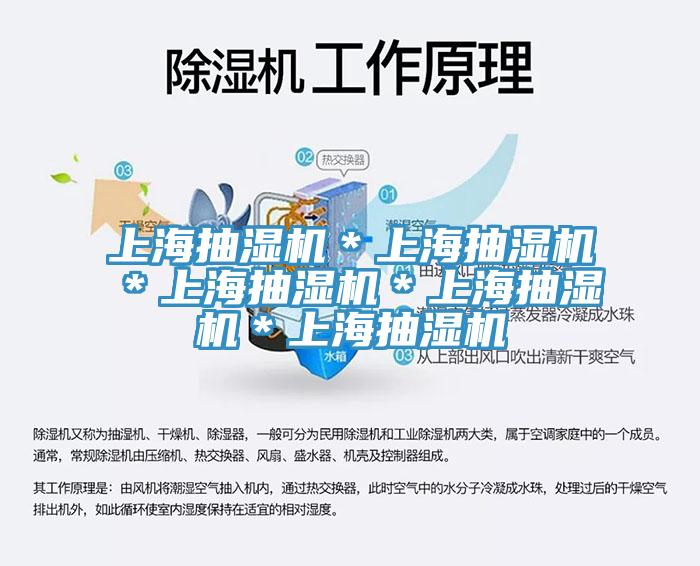 上海抽濕機(jī)＊上海抽濕機(jī)＊上海抽濕機(jī)＊上海抽濕機(jī)＊上海抽濕機(jī)