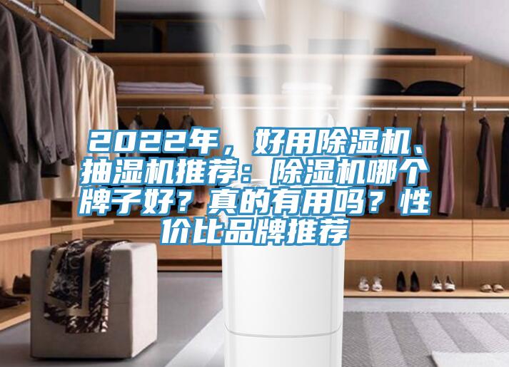2022年，好用除濕機、抽濕機推薦：除濕機哪個牌子好？真的有用嗎？性價比品牌推薦