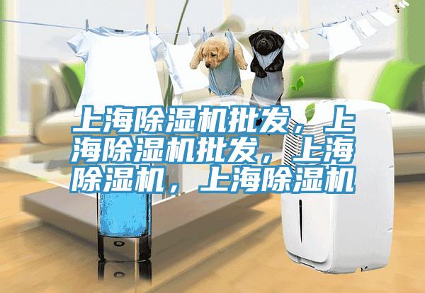 上海除濕機批發(fā)，上海除濕機批發(fā)，上海除濕機，上海除濕機