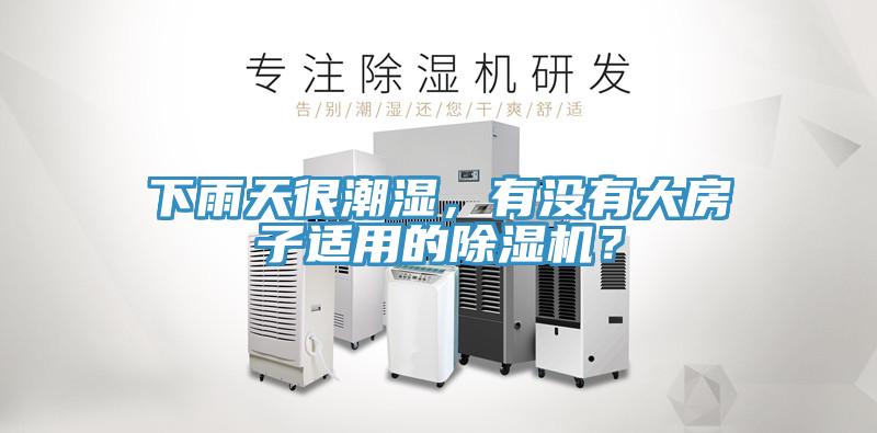 下雨天很潮濕，有沒有大房子適用的除濕機？