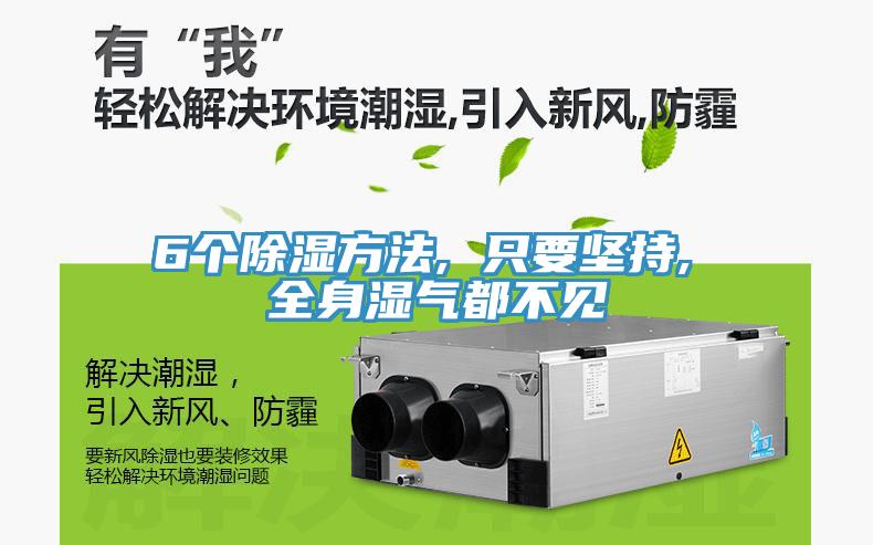 6個(gè)除濕方法, 只要堅(jiān)持, 全身濕氣都不見