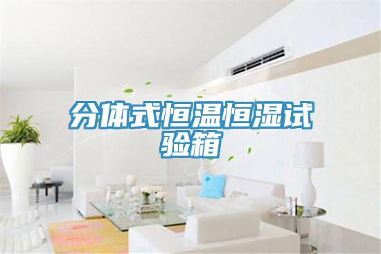 分體式恒溫恒濕試驗(yàn)箱