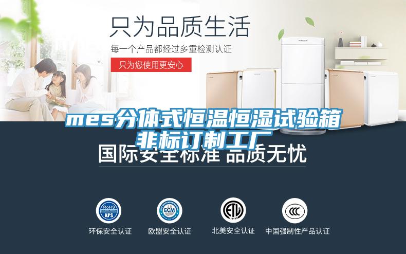mes分體式恒溫恒濕試驗箱非標(biāo)訂制工廠