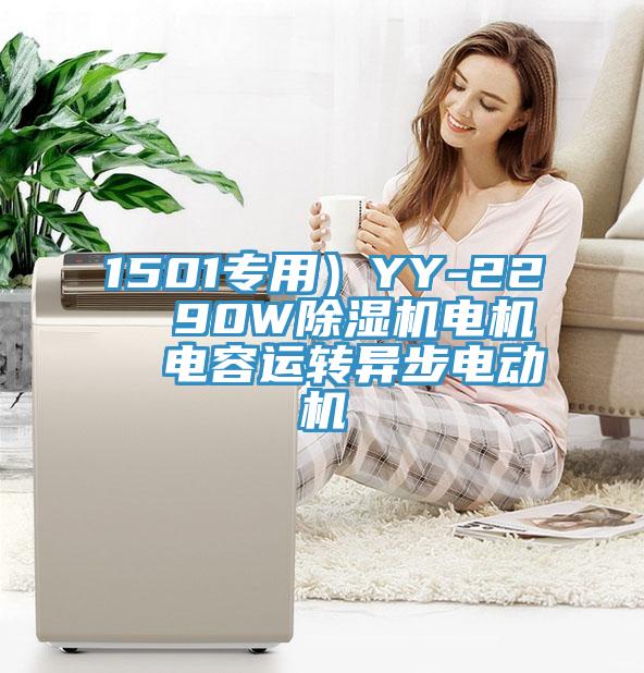 1501專用）YY-22  90W除濕機(jī)電機(jī)  電容運(yùn)轉(zhuǎn)異步電動(dòng)機(jī)