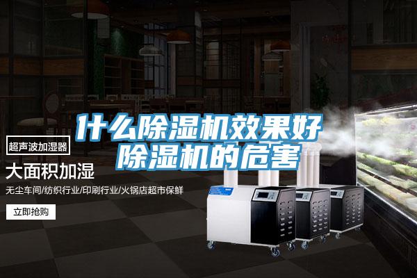 什么除濕機(jī)效果好 除濕機(jī)的危害