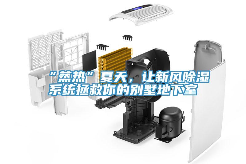 “蒸熱”夏天，讓新風除濕系統(tǒng)拯救你的別墅地下室