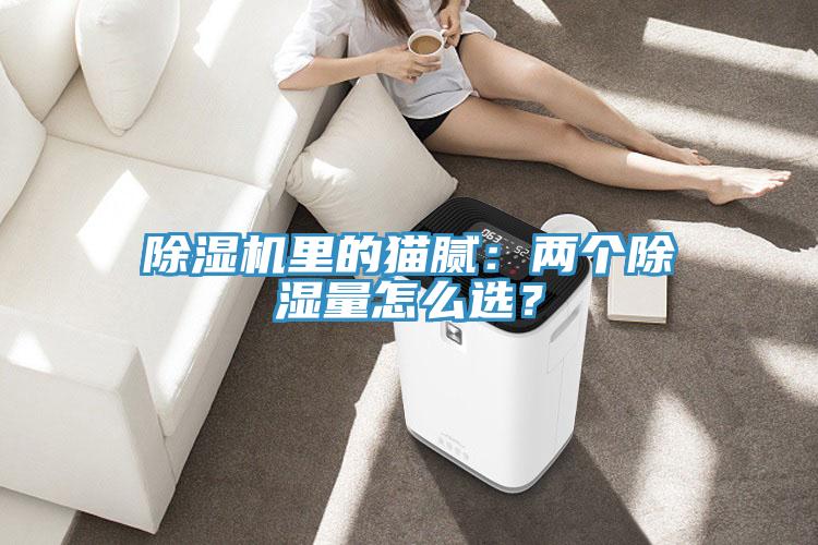 除濕機(jī)里的貓膩：兩個除濕量怎么選？