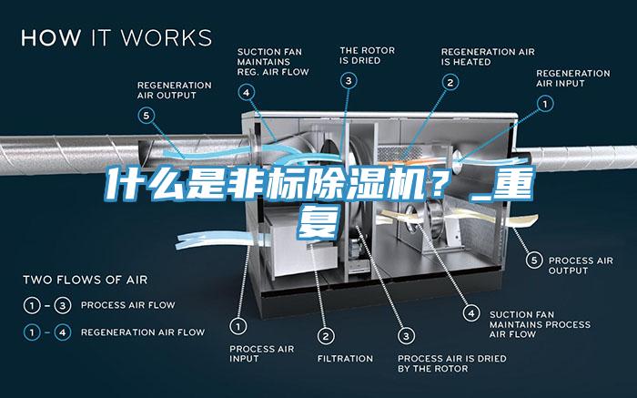 什么是非標除濕機？_重復