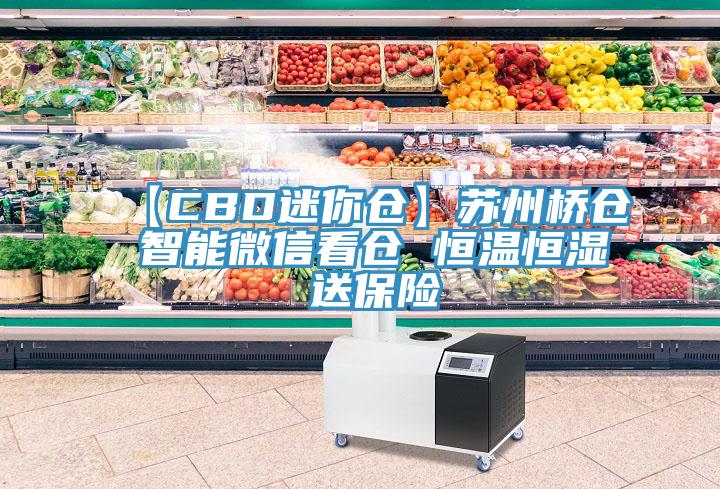 【CBD迷你倉】蘇州橋倉 智能微信看倉 恒溫恒濕 送保險(xiǎn)