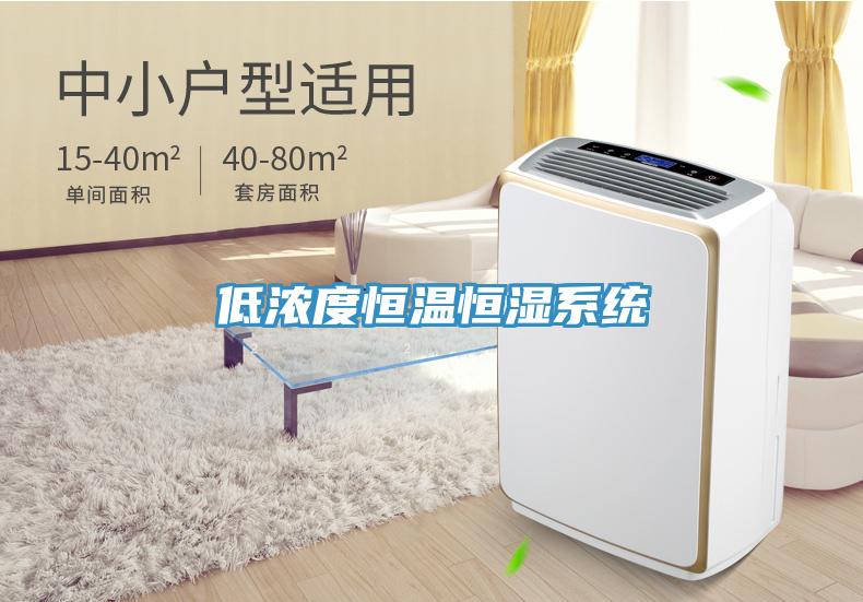 低濃度恒溫恒濕系統(tǒng)