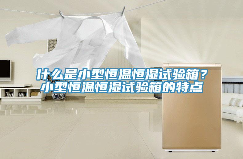 什么是小型恒溫恒濕試驗(yàn)箱？小型恒溫恒濕試驗(yàn)箱的特點(diǎn)
